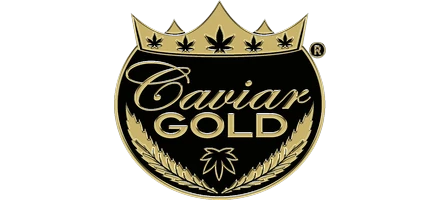 Home 24 Caviar Gold